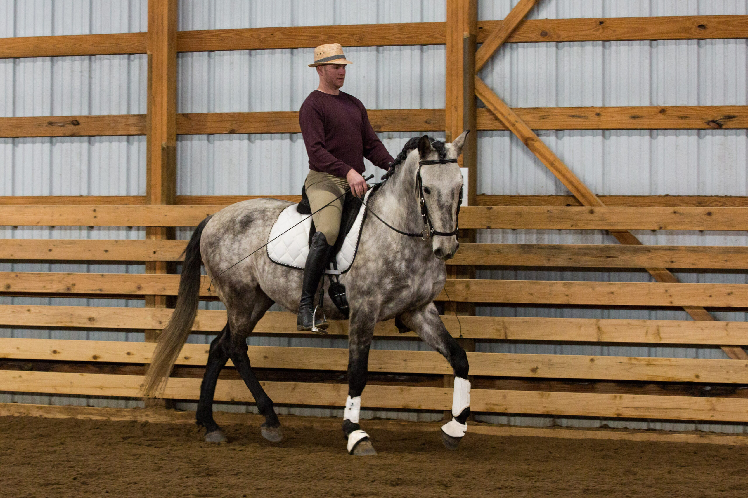 Horse Training in Colorado