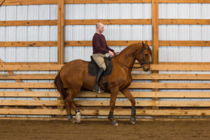 Man riding chestnut horse in indoor arena