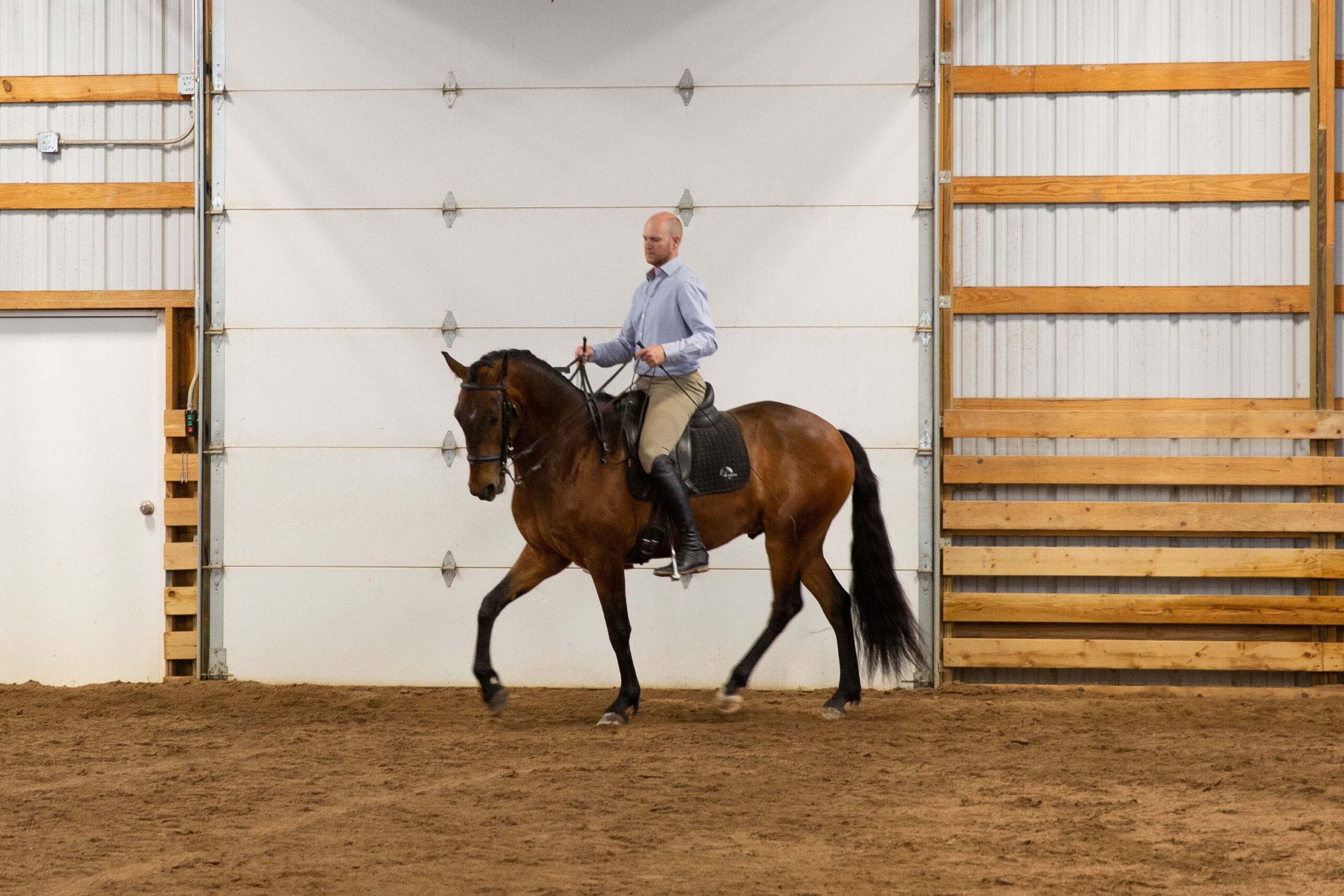 Private and Group Horseback Riding Lessons