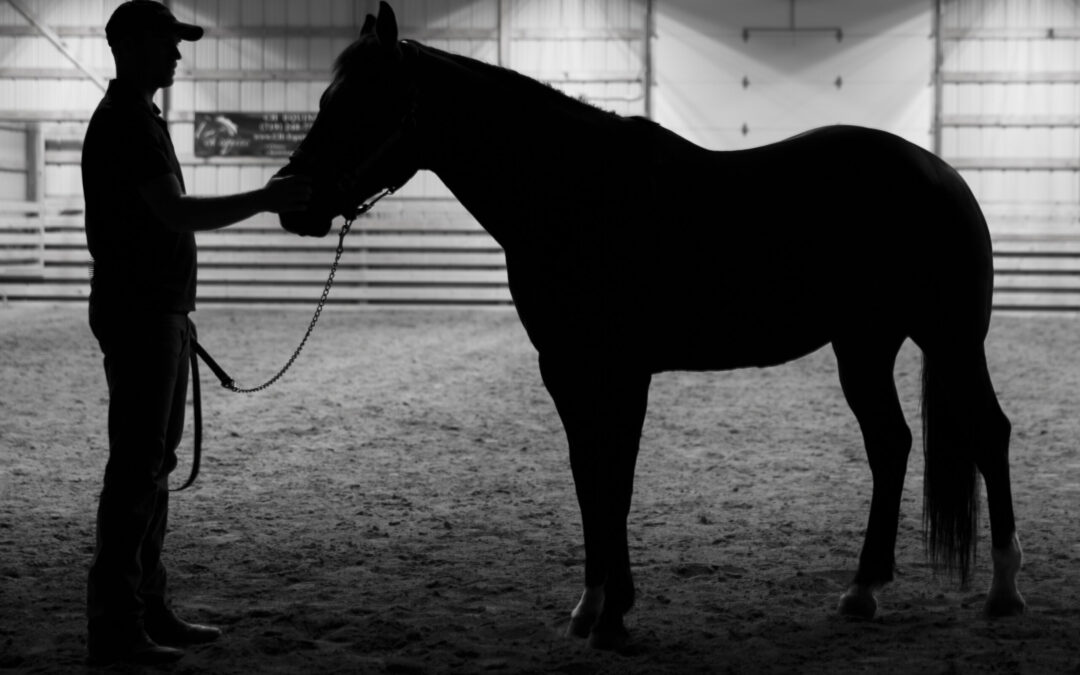 Silhouette of person with horse indoors.