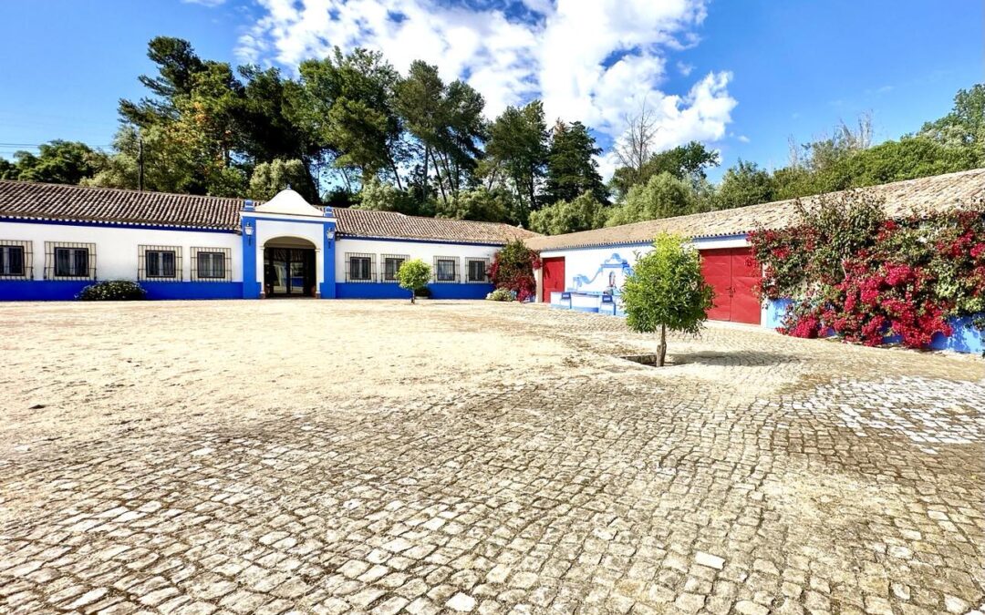 Bright courtyard with colorful buildings under a partly cloudy sky.
