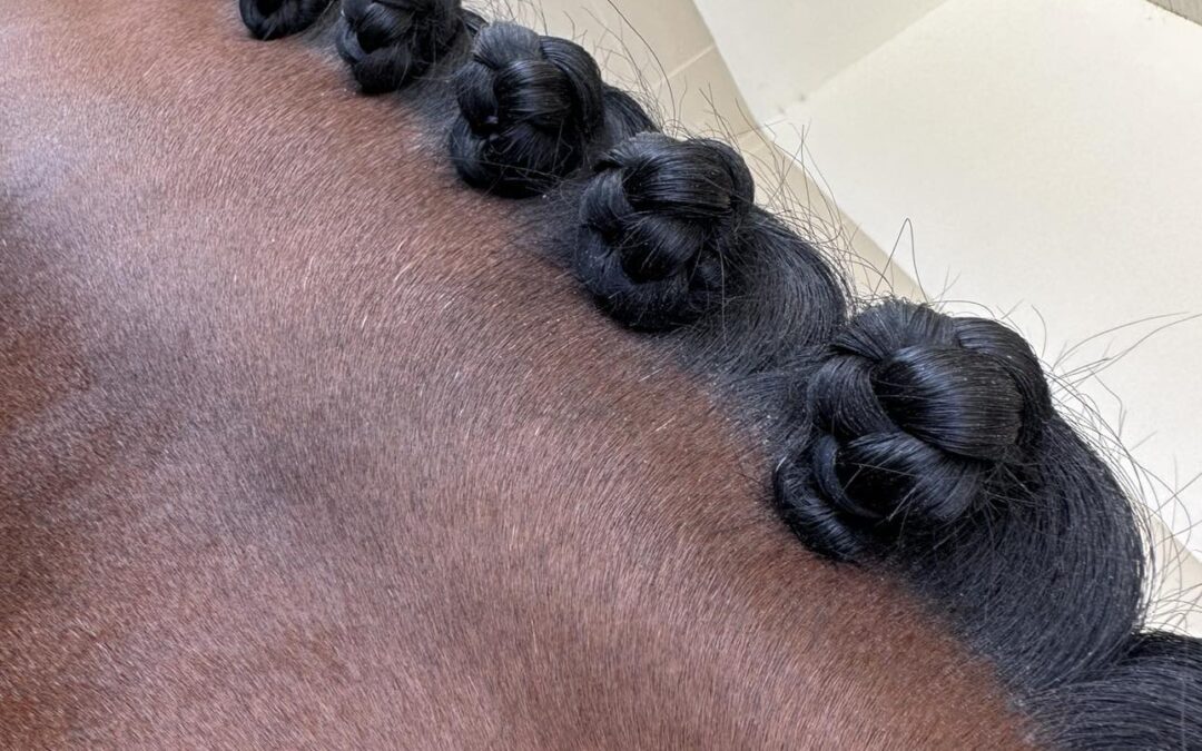 Close-up of braided horse mane with rosette braids.