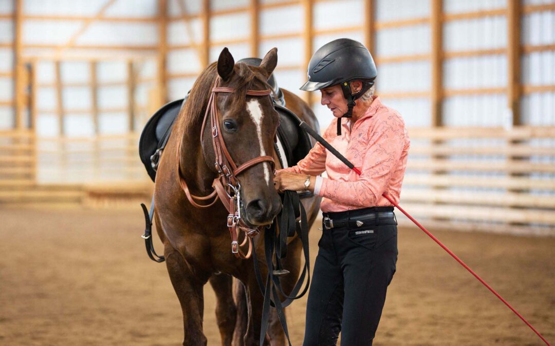 Understanding Your Riding Lessons