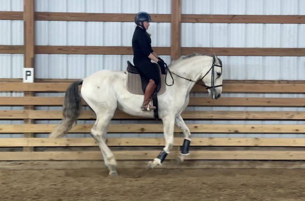 Ride with the Hands of a Lady, the Posture of a Queen, and the Hips of a Dancer: Decoding a Classic Equestrian Saying