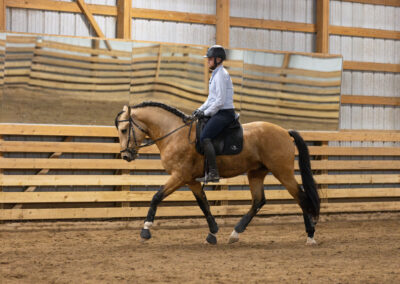 A rider in formal attire rides a horse indoors in a dressage arena.