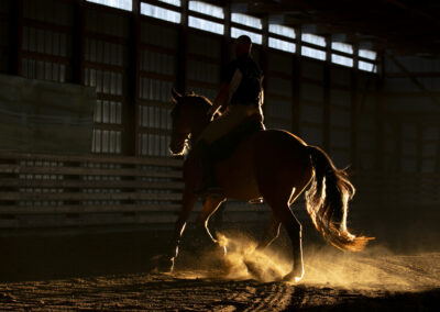 A horse galloping indoors with dust rising in warm light.