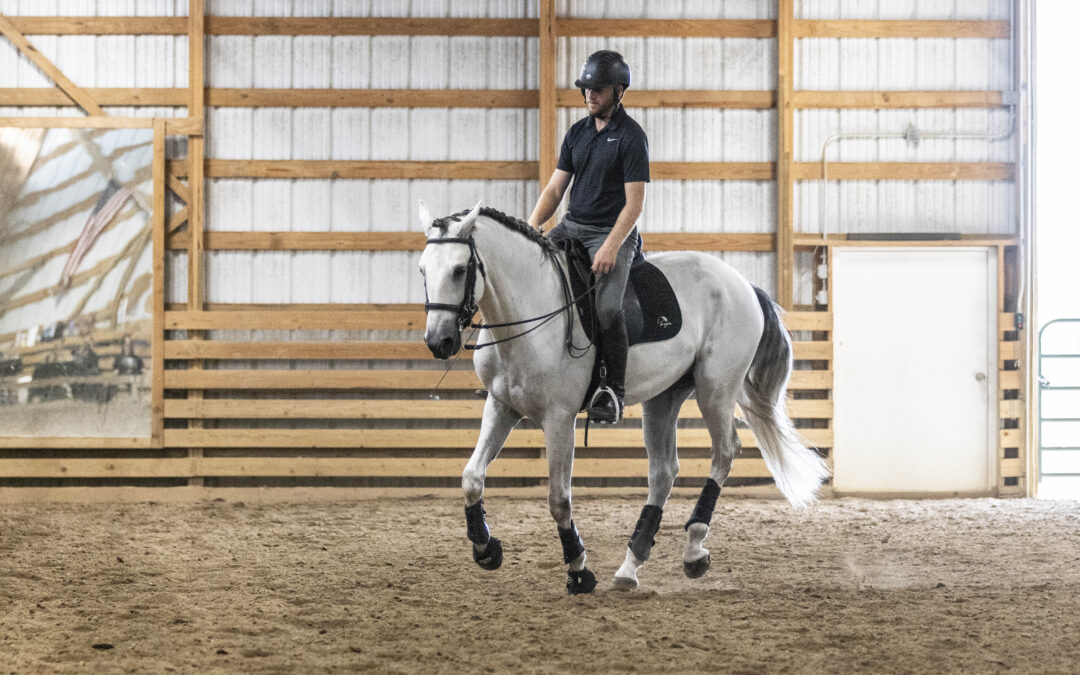 Person riding a white horse in an indoor arena.