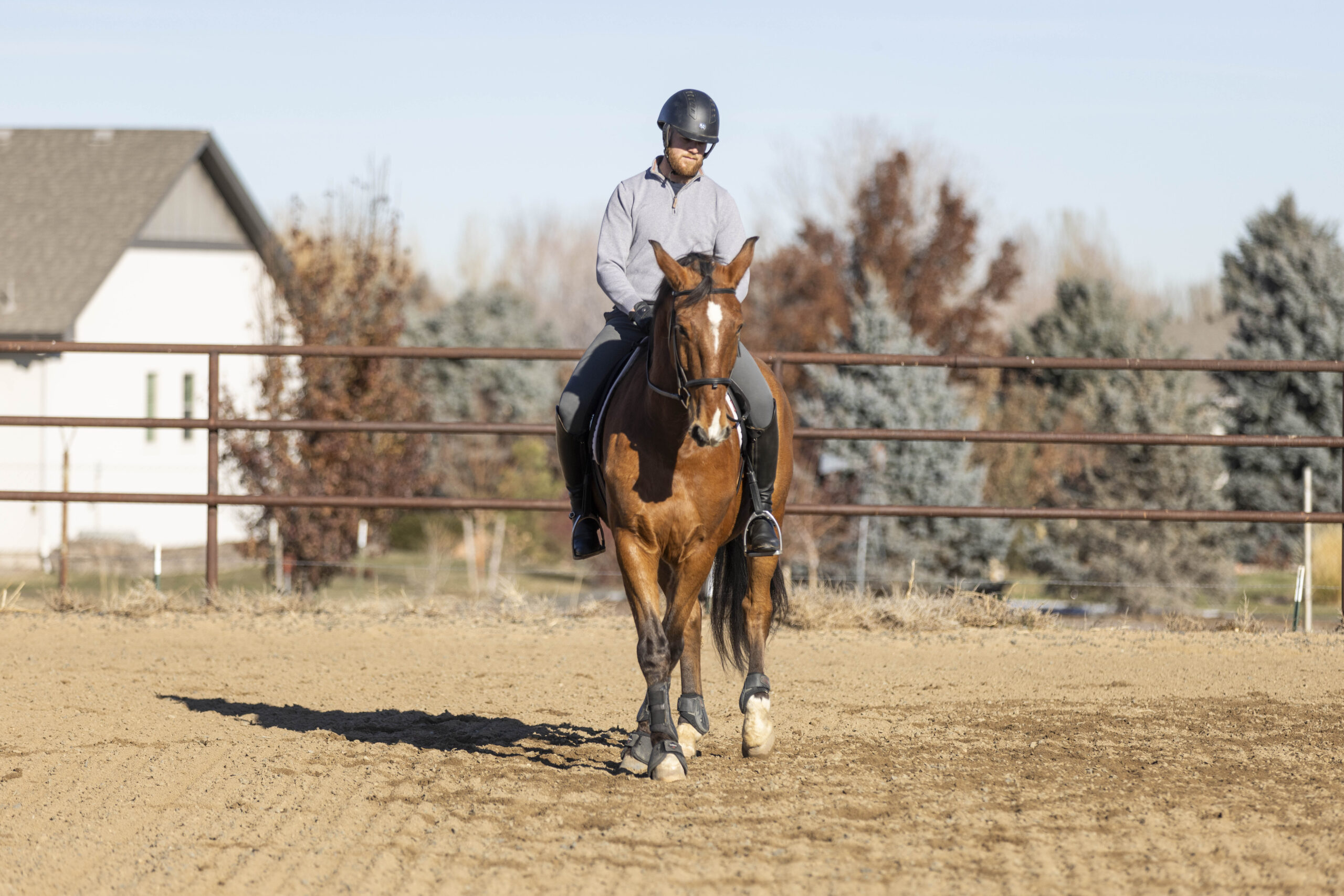 Person riding a horse in an outdoor arena on a sunny day.