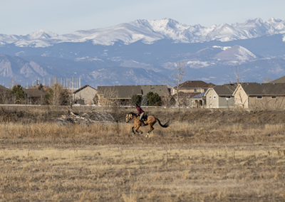 Two people horseback riding in a field with snowy mountains in the background.